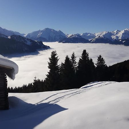 Haus Viktoria Daire Mayrhofen Dış mekan fotoğraf