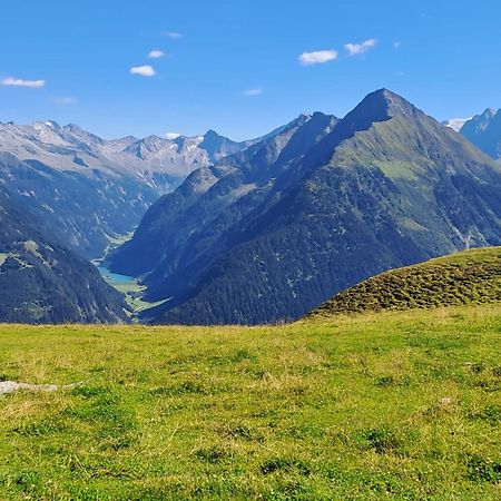 Haus Viktoria Daire Mayrhofen Dış mekan fotoğraf