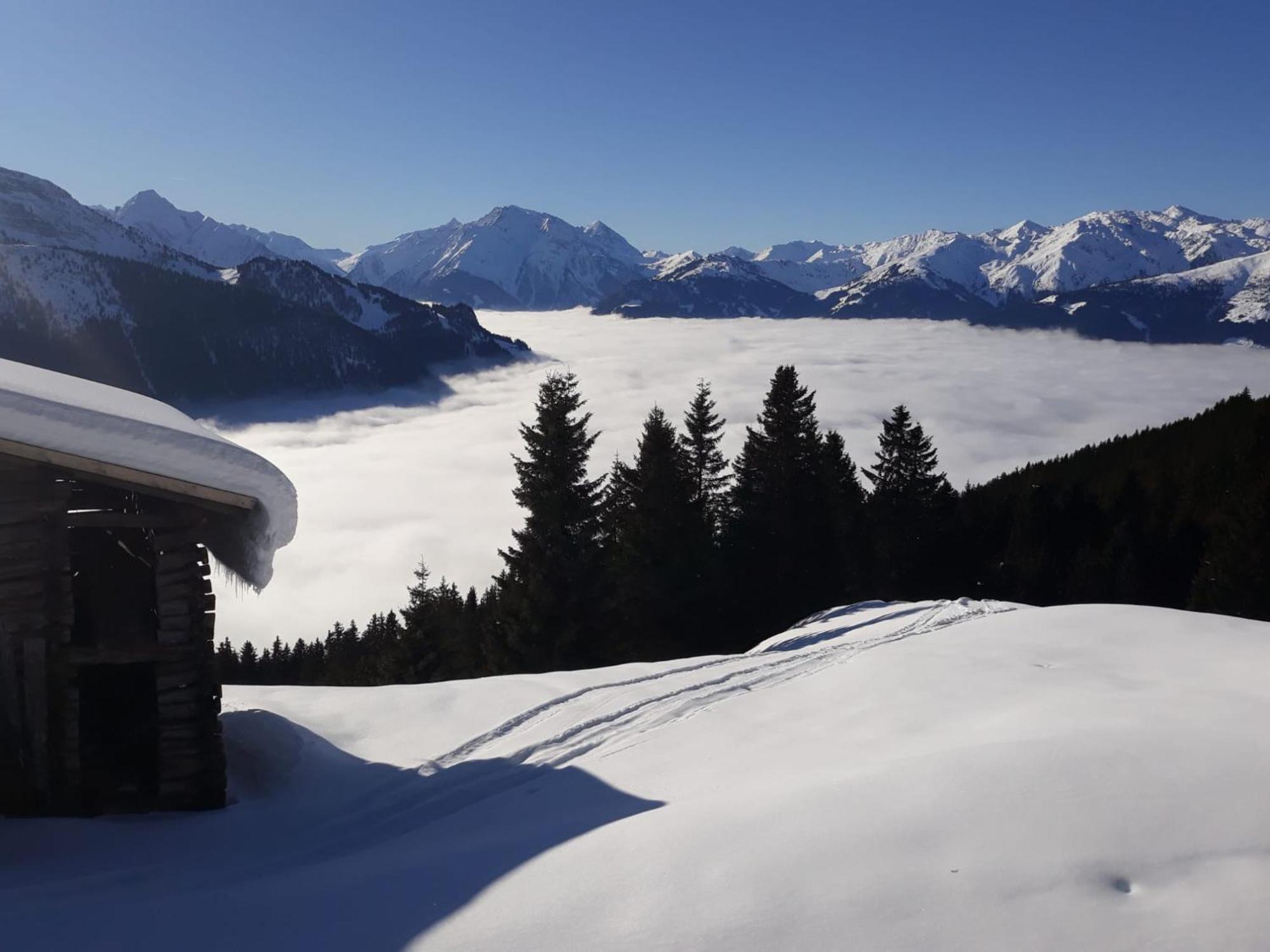 Haus Viktoria Daire Mayrhofen Dış mekan fotoğraf